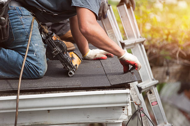 Best Storm Damage Roof Repair  in Proctor, MN